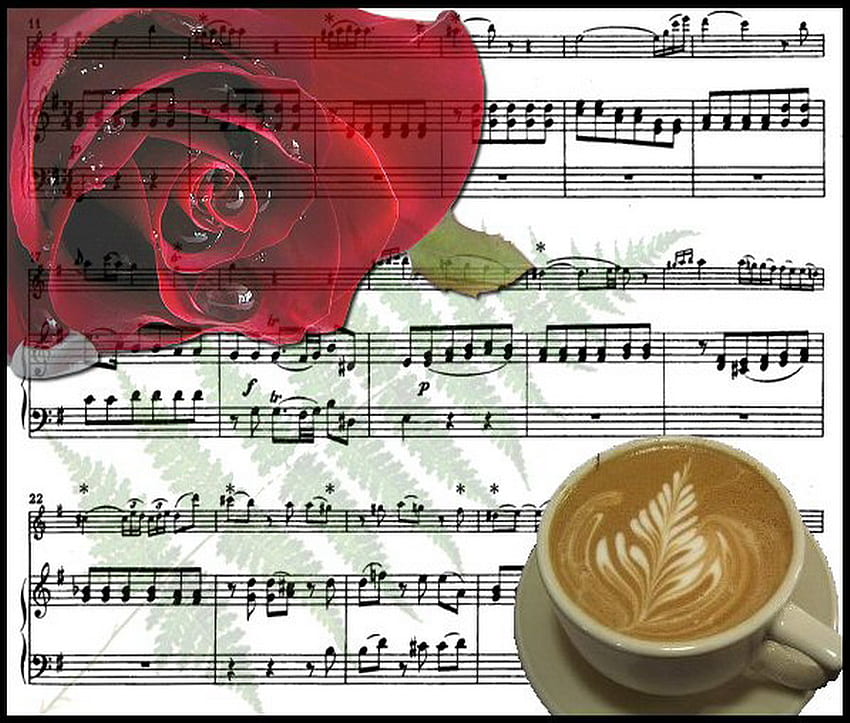 morning melody, rose, morning, red, drops, coffee, melody HD wallpaper