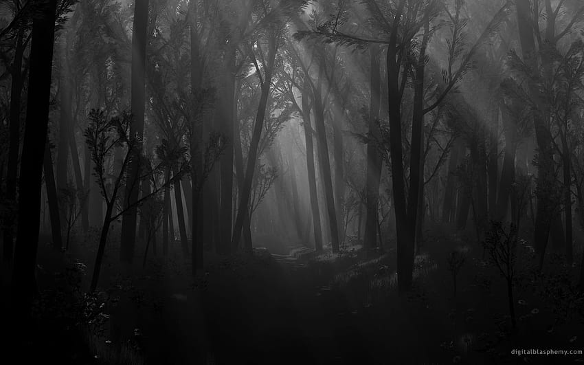 Dark Forest (71), Hipster Forest HD wallpaper