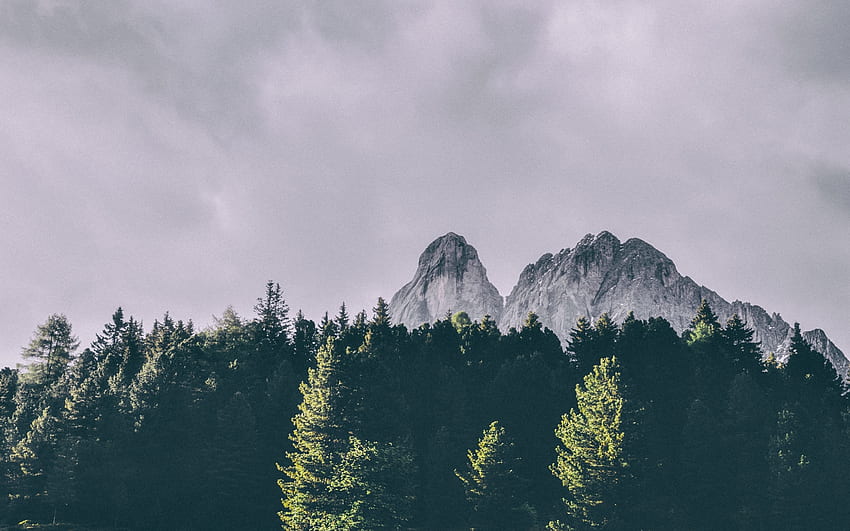 Peitlerkofel, montaña de los Dolomitas, Alpes, paisaje de montaña, árboles verdes, Tirol del Sur, Italia fondo de pantalla