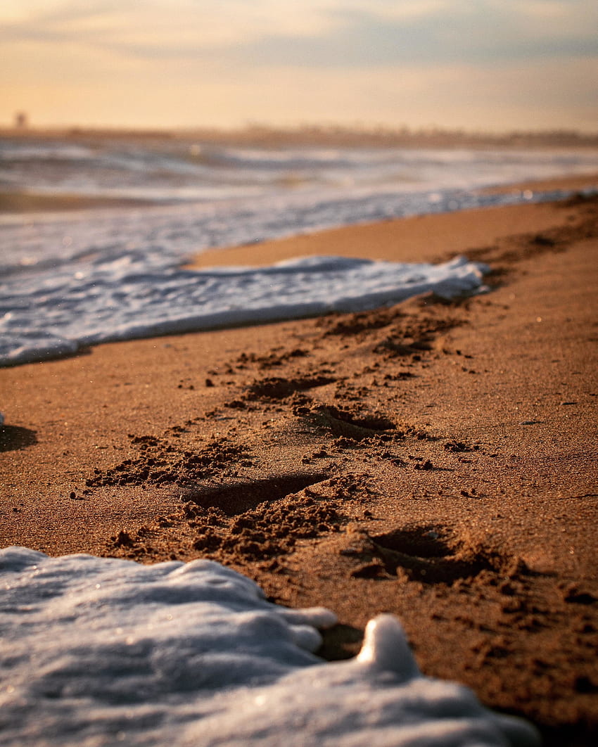 거품, 해변, 클로즈업, 모래 HD 전화 배경 화면