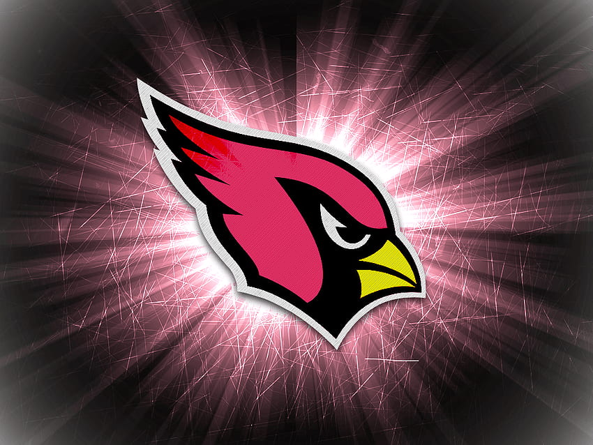 Az cardinals HD wallpapers