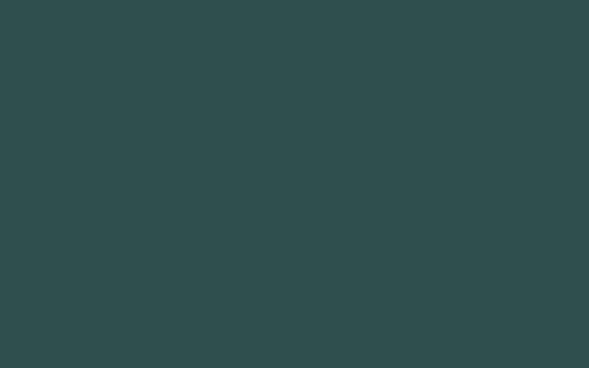 Jednolite ciemnoszare tło Ciemnoszary łupek Jednolity kolor Tapeta HD