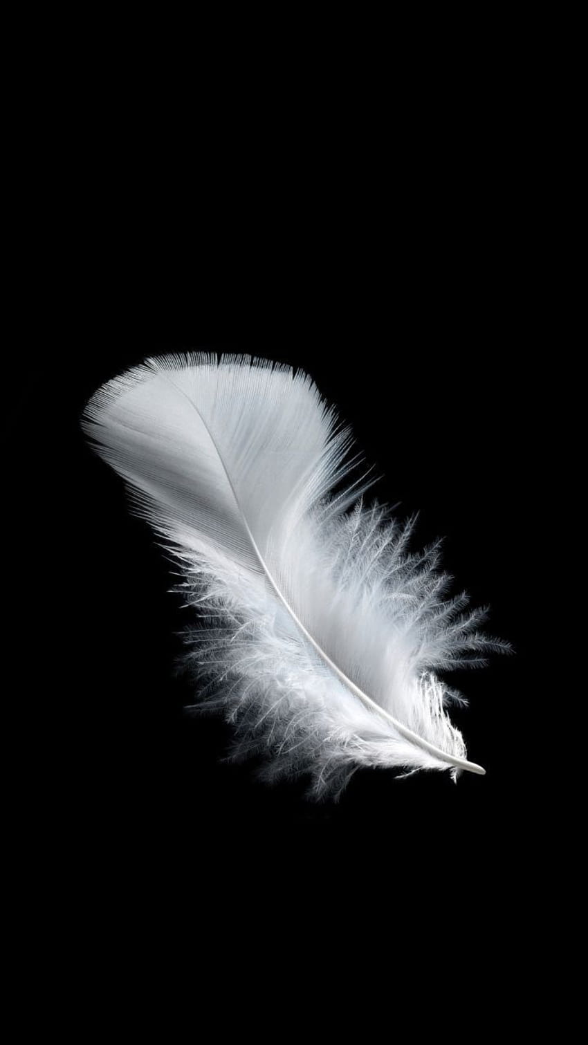 White Feathers Aesthetic , Feathers Aesthetic White. Feather , Feather ...