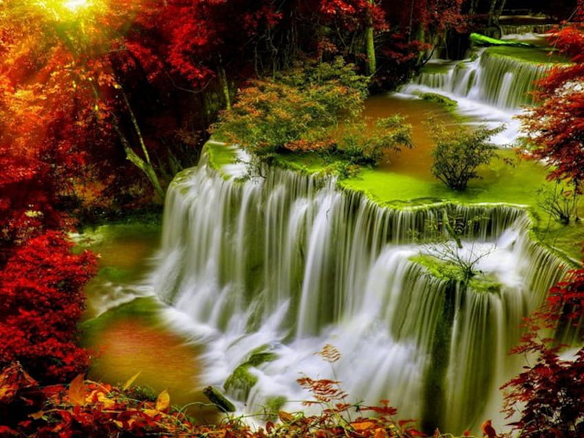Autumn Splendor, leaves, fall, trees, waterfall, autumn, nature, stream HD wallpaper