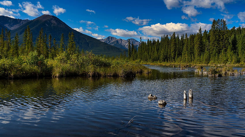 Езеро в Алберта, Албърта, планини, езеро, Канада HD тапет