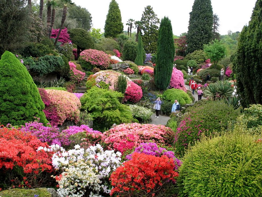 beautiful garden, bushes, garden, colourful, nature HD wallpaper