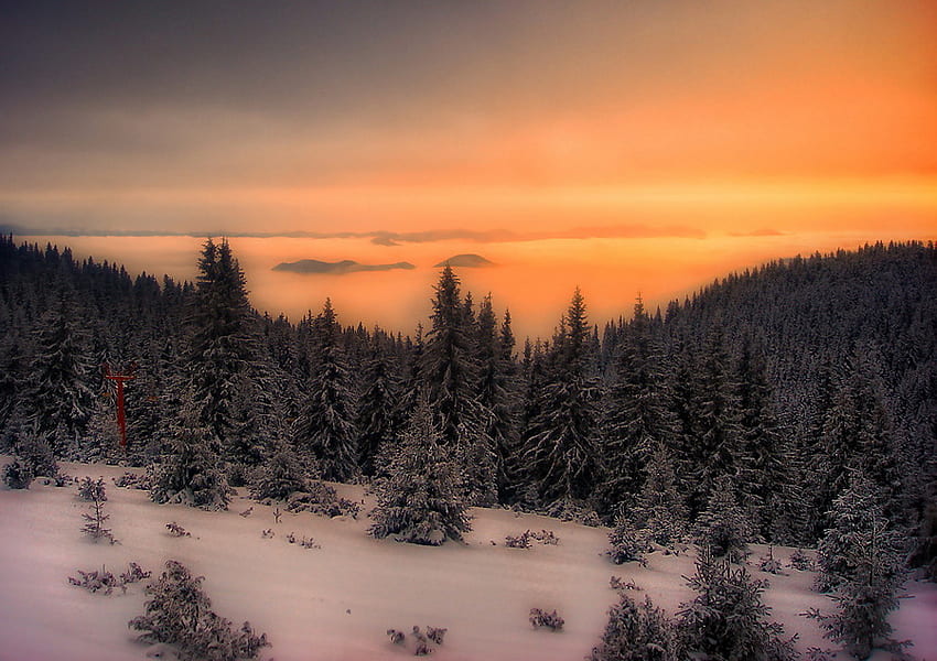 Winter Sunset, cloudwinter, awesome, glow, snow, trees, sky, orange HD wallpaper