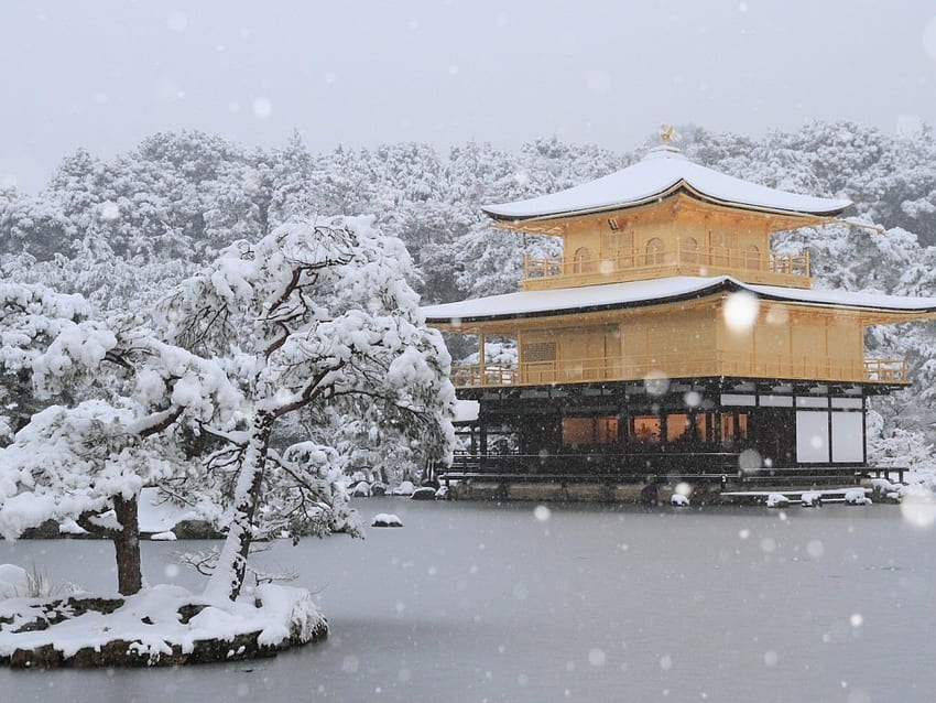 Japan, Kinkaku Ji, Kyoto, Snow, Winter & Background • 21361 • Wallur HD wallpaper