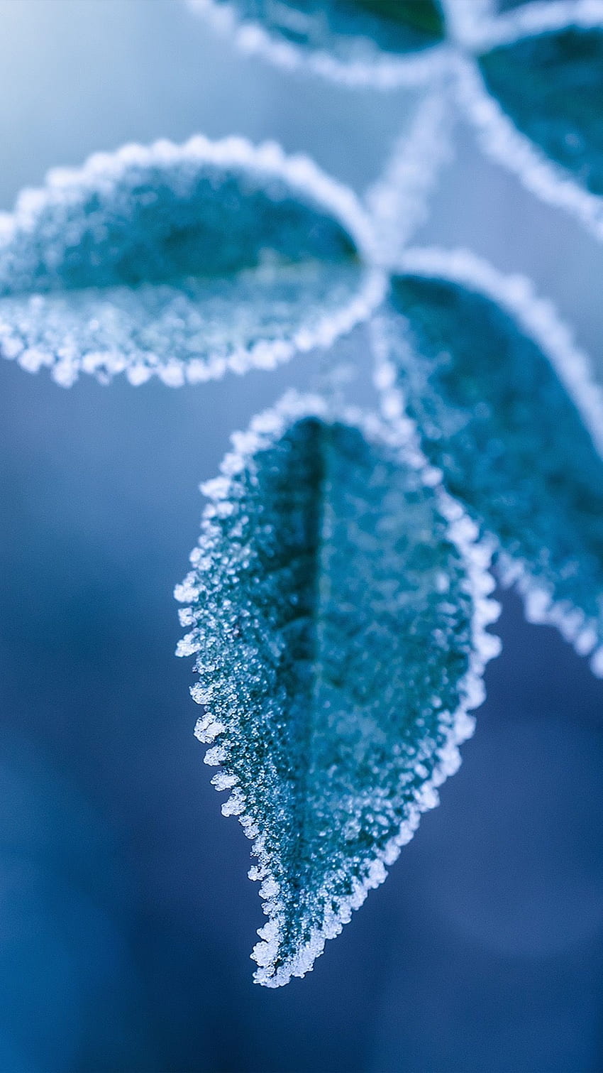 Icy blue, wintery cool. in 2019. Cellphone, Ice HD phone wallpaper