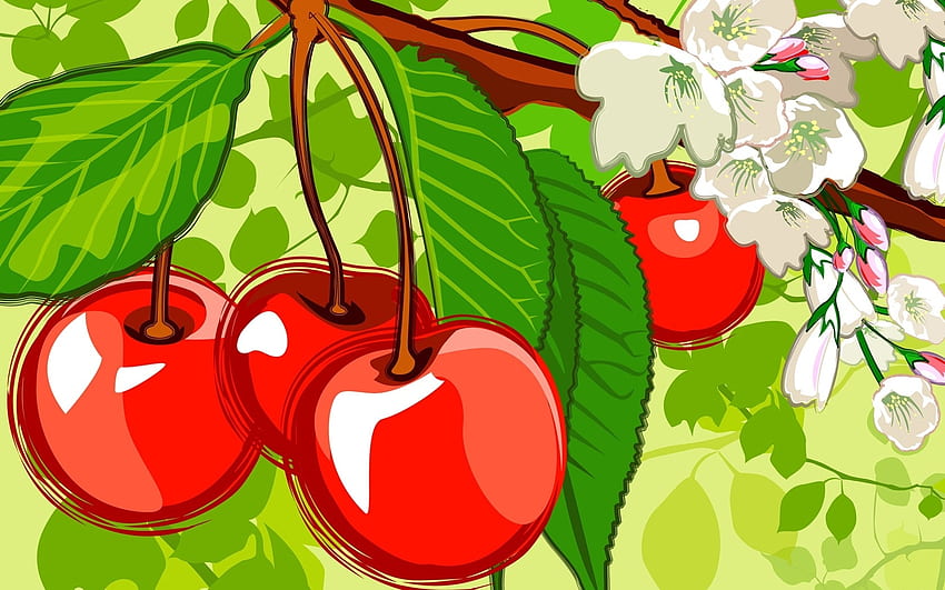 Fruits, Background HD wallpaper