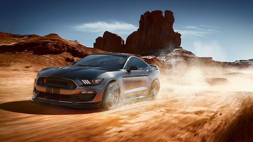 Ford Mustang Shelby GT350, Cars, , , Background, and HD wallpaper