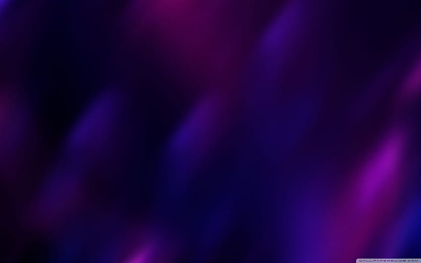 Dark Purple Colors Ultra Background for U TV : & UltraWide & Laptop : Tablet : Smartphone, Black And Violet HD wallpaper
