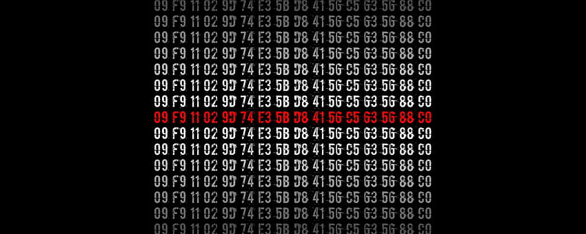 Go to Hell . Funny LEGO , Pink Flamingo and Ichigo, Cryptography HD wallpaper