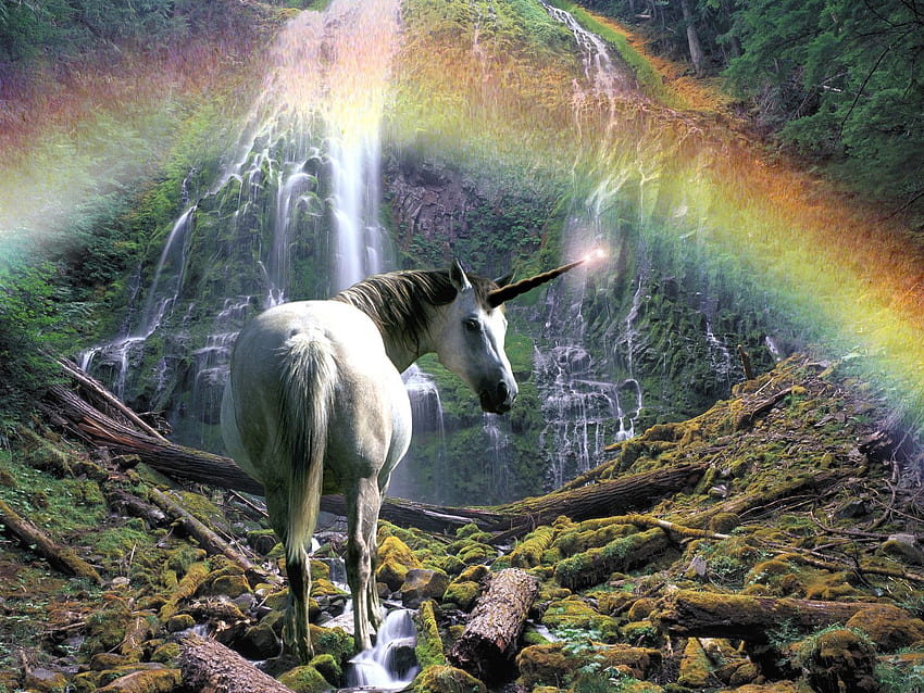 rainbow, horse, unicorn, falls, waterfall Animals HD wallpaper