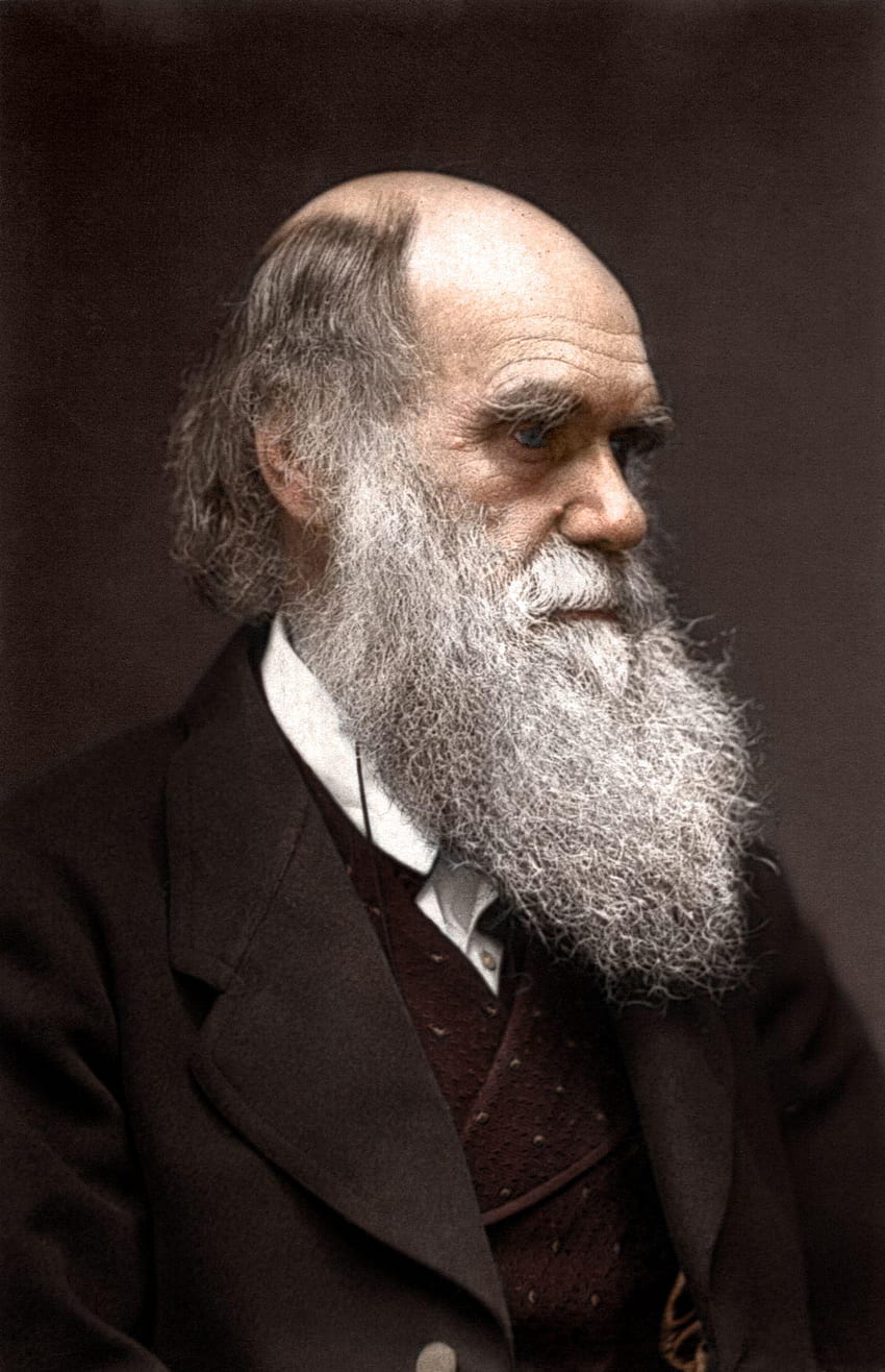 Karol Darwin Tapeta na telefon HD