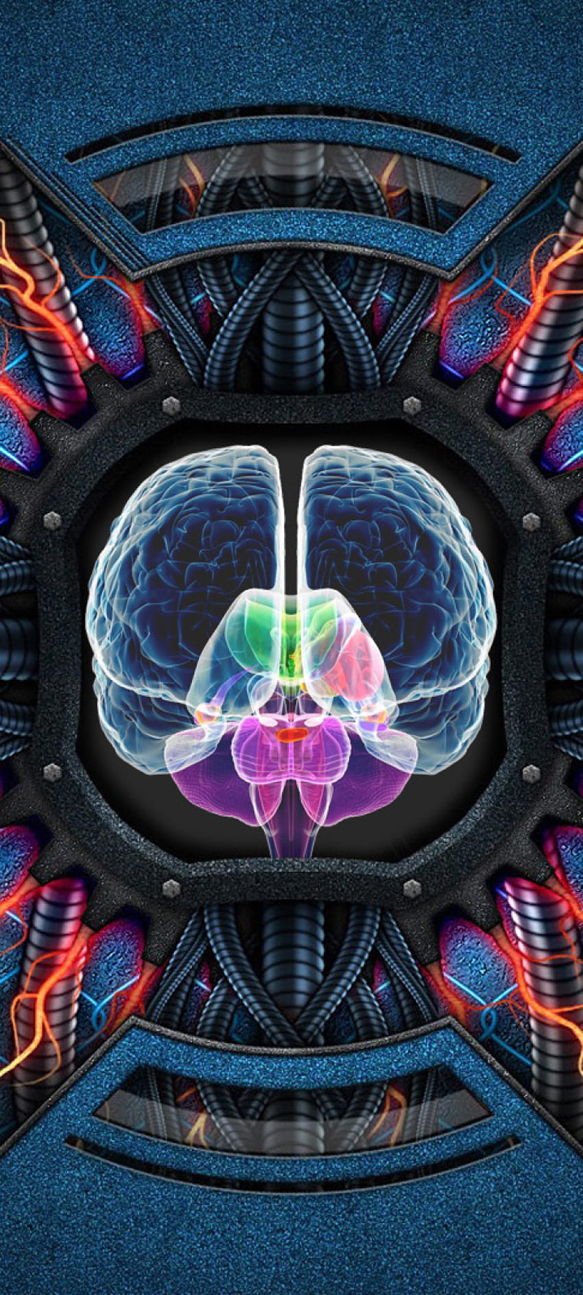 Brain Neuropsychology Resolution , Artist , , and Background, Galaxy Brain HD 전화 배경 화면