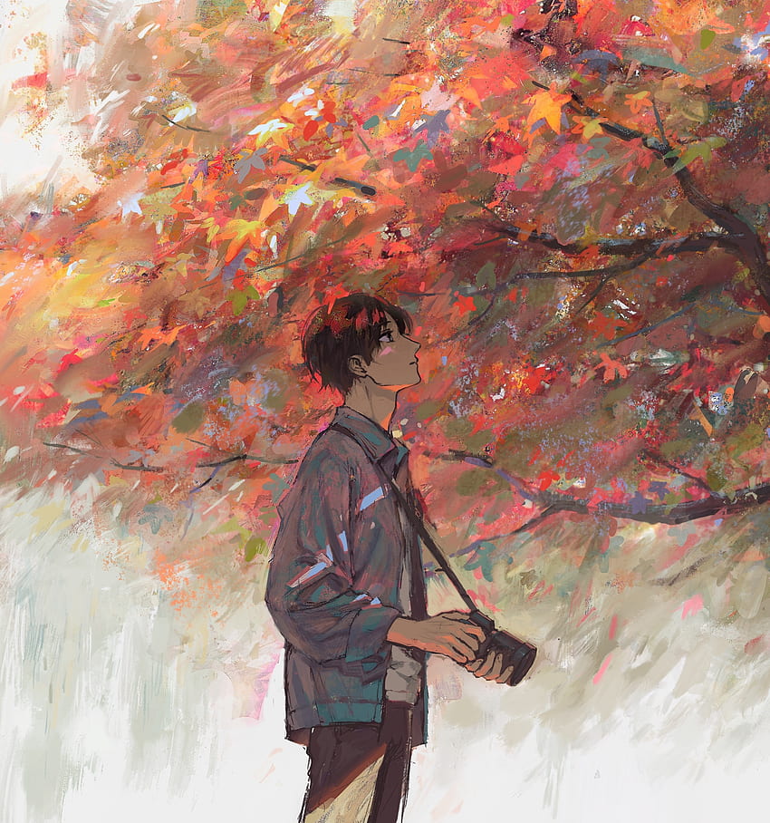 chico anime, otoño, árbol, obra de arte fondo de pantalla del teléfono