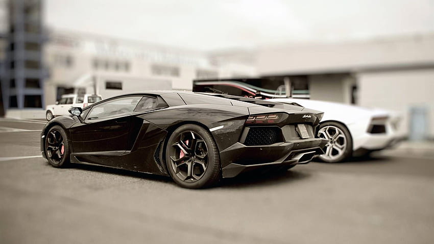 Luxury Cars Best Of Black and White Exotic Cars HD wallpaper