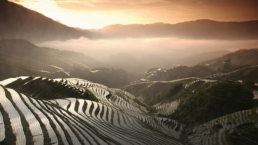 Nature, Mountains, Fog, Rice Fields HD wallpaper