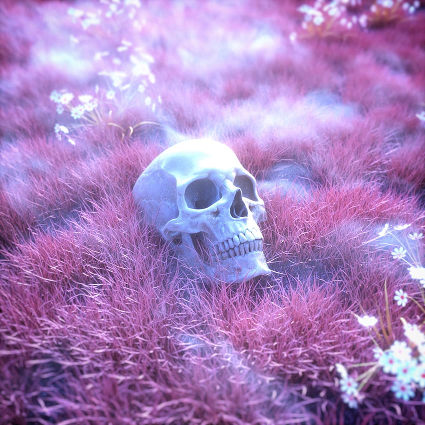 Grass, Art, Pink, Skull, Skeleton HD phone wallpaper