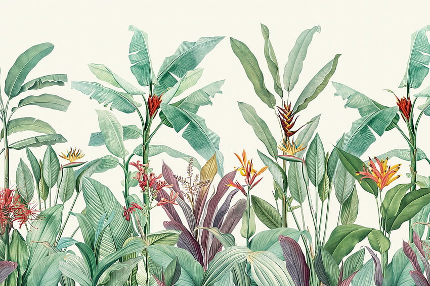 Estos hermosos murales están inspirados en la Botánica fondo de pantalla