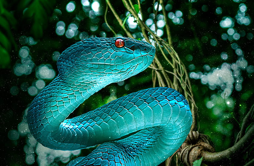뱀, 푸른, 숲, , 동물, 놀라운 뱀 HD 월페이퍼