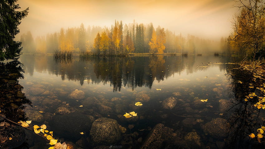 Foggy Lake in Finland HD wallpaper