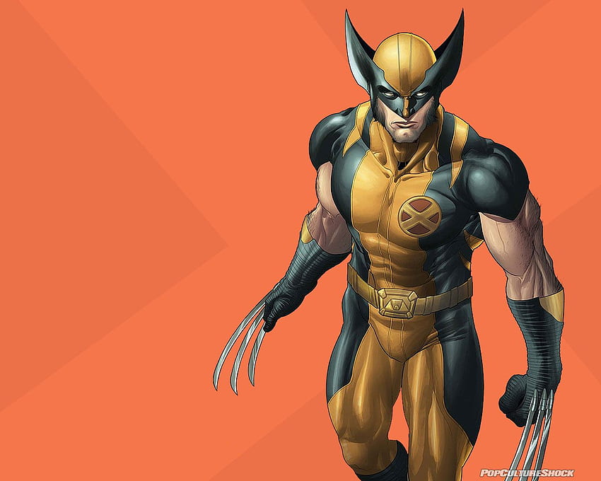 wolverine. Zoom Comics - Daily Comic Book, Bloody Wolverine Comic HD wallpaper