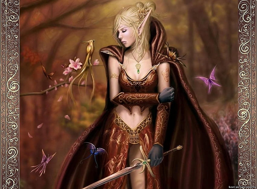 Fairy Warrior, fairy, butterfly, 3d, fantasy, birs, girl, warrior HD wallpaper