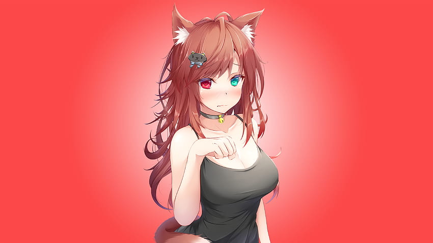 Anime Cat Girl - [] for your , Mobile & Tablet. Explore Embarrassing . Embarrassing , Embarrassing HD wallpaper