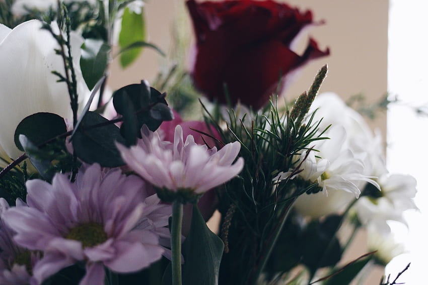 Fleurs, Bouquet, Composition Fond d'écran HD