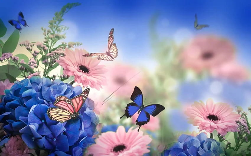 Daisies and butterflies, Butterflies, Pink, Blue, Floral card HD wallpaper