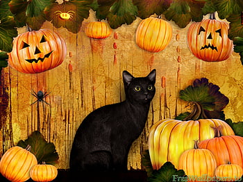Art night trees halloween pumpkin vampire wallpaper, 3500x1553, 182060