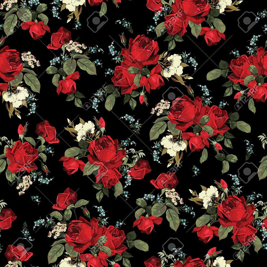 Carmen Lua on Fondo de pantalla. Watercolor floral pattern, Art background, Vintage roses, Red and Black Floral HD phone wallpaper