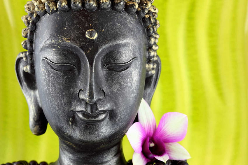 Pace interiore, rosa, buddha, fiore, argento, meditazione Sfondo HD