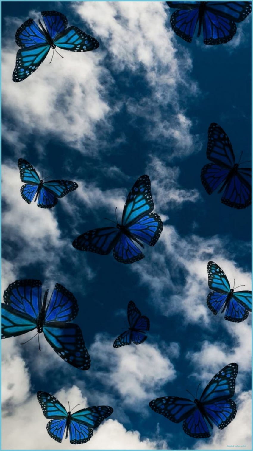 Background Aesthetic Butterfly iPhone - Blue Butterfly Aesthetic, Dark Blue Butterfly wallpaper ponsel HD