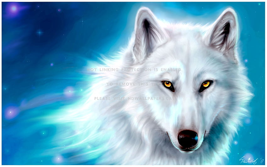 Wolf mit gelben Augen, der ein weißes Porträt zeichnet HD-Hintergrundbild