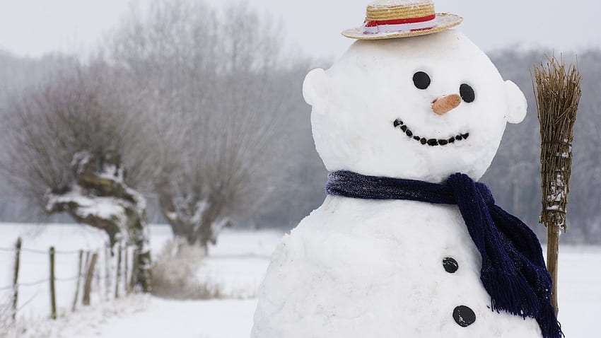 graphy Snowman, Real Snowman HD wallpaper