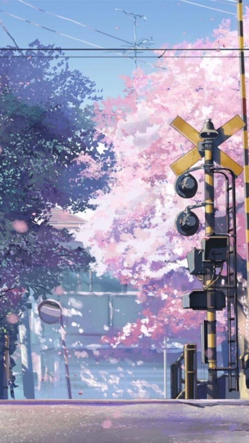 Makoto Shinkai Téléphone Fond d'écran de téléphone HD