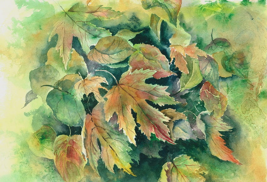 Sonbahar Yaprakları, sonbahar, yapraklar, doğa, mevsimler HD duvar kağıdı