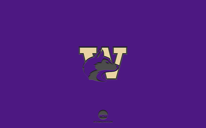Washington Huskies, lila Hintergrund, American-Football-Team, Washington Huskies-Emblem, NCAA, Washington, USA, American Football, Washington Huskies-Logo HD-Hintergrundbild