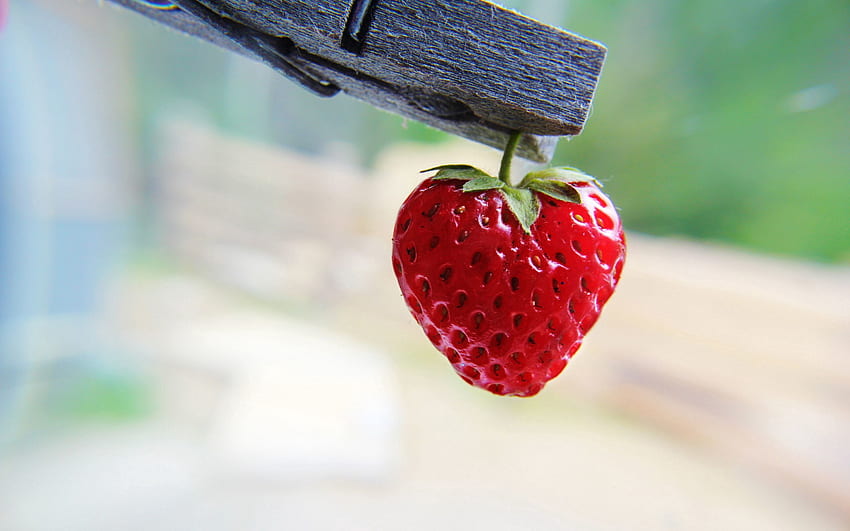Food, Strawberry, Berry, Pin, Clothespin HD wallpaper