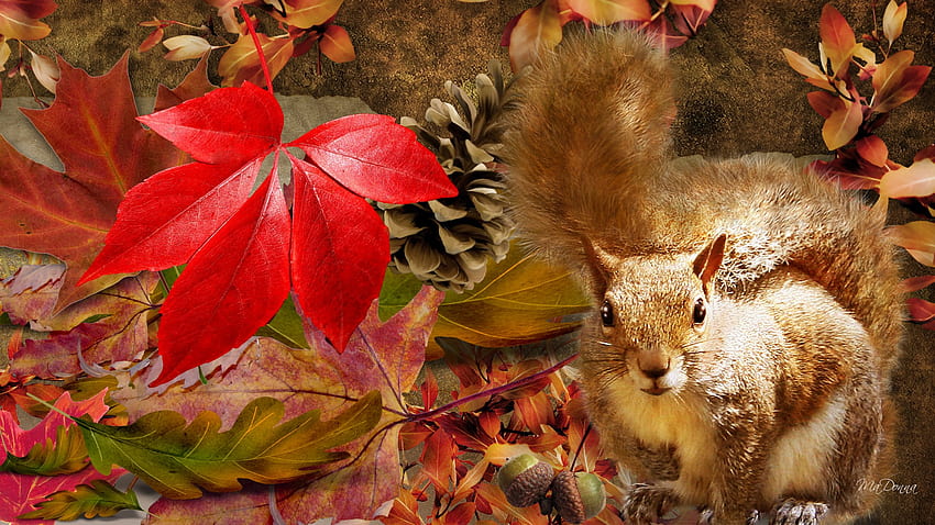 Scoiattolo Autunno, foglie, persona firefox, ghiande, autunno, autunno, cono, scoiattolo Sfondo HD