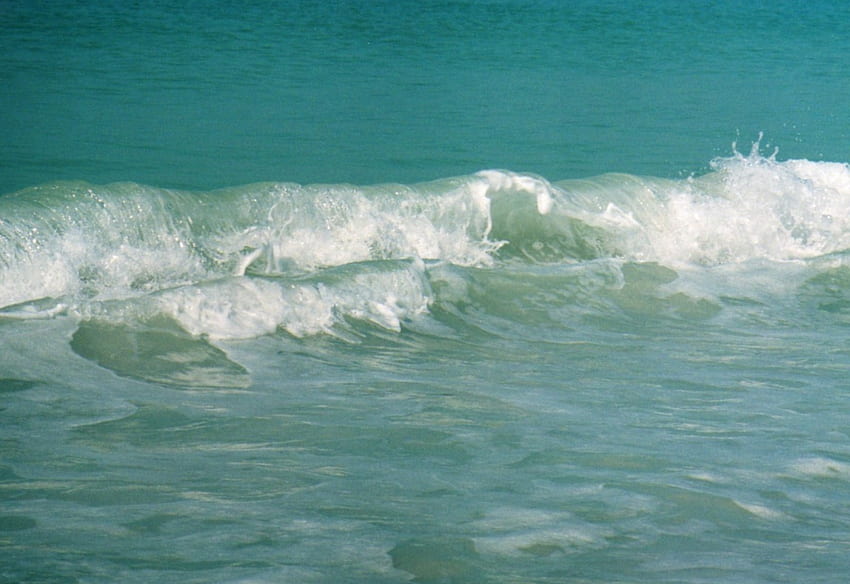 Marieda Beach, FL, water, wave, beach HD wallpaper