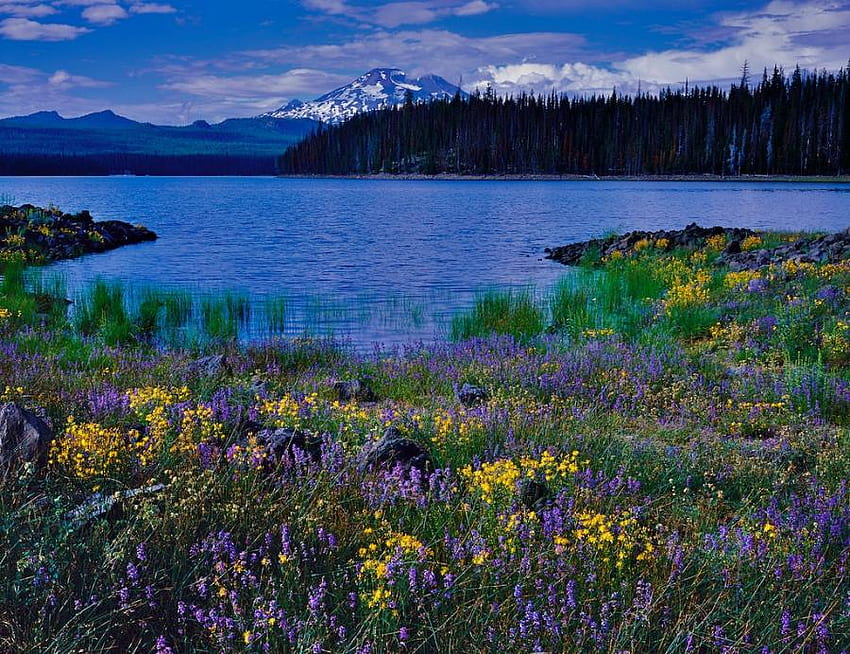 Lake Evening, blue, hills, beautiful, grass, mountain, lake, wildflowers, snow, yellow, clouds, sky, evening HD wallpaper