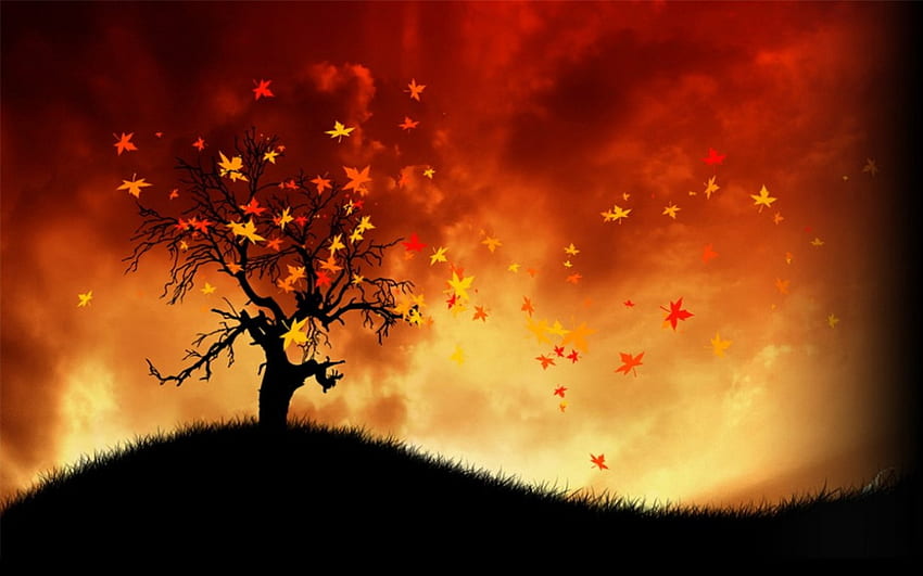 Падащи листа, блясък, ослепителен, падане, оранжево, дърво, огнено, фон, падащи, листа, есен, гора, листа, залез HD тапет