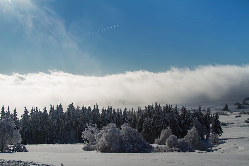ฤดูหนาว ธรรมชาติ หิมะ ภูเขา ป่า พายุเฮอริเคน Vasrkup Vascup วอลล์เปเปอร์ HD