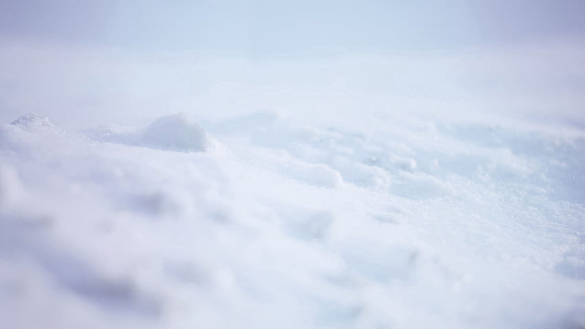Фон, сняг, макро, повърхност HD тапет