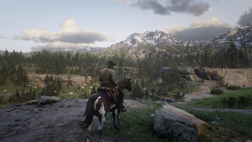 Red Dead Redemption 2 PC version: the evidence, Horse Red Dead Redemption 2 HD wallpaper