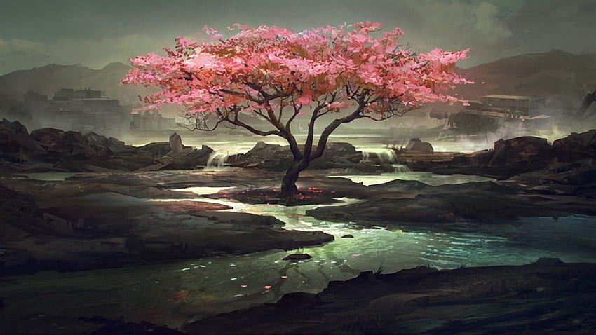 Kirschbaum, hochwertiger Kirschbaum-Hintergrund HD-Hintergrundbild